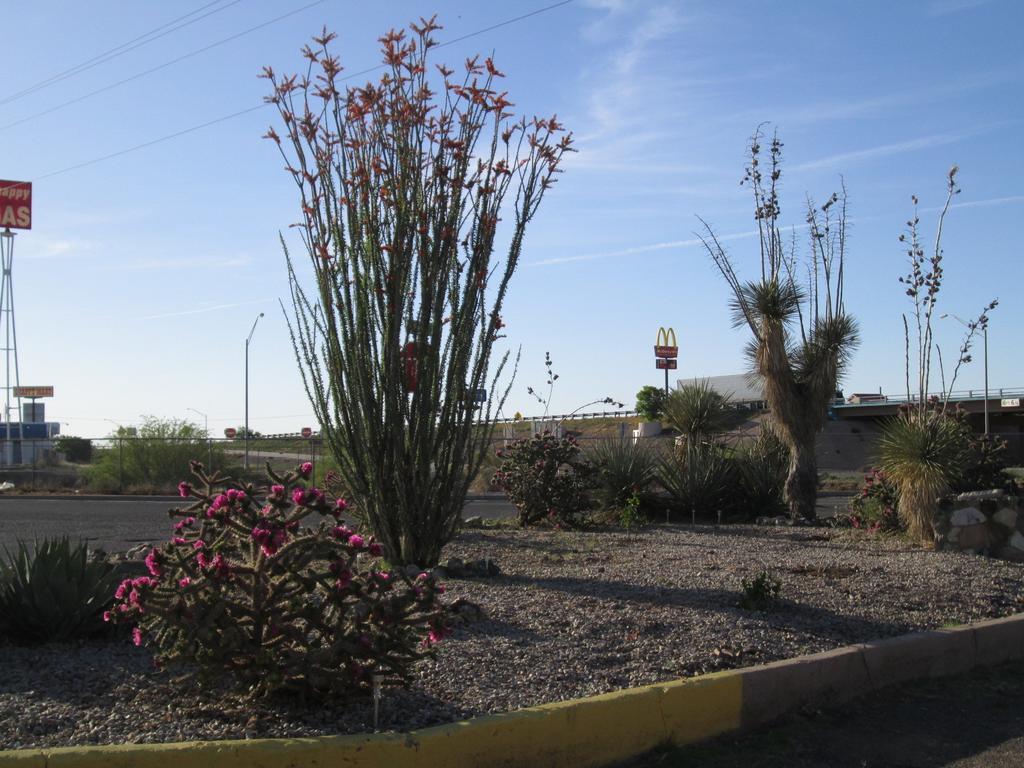 Motel 10 Lordsburg Eksteriør billede